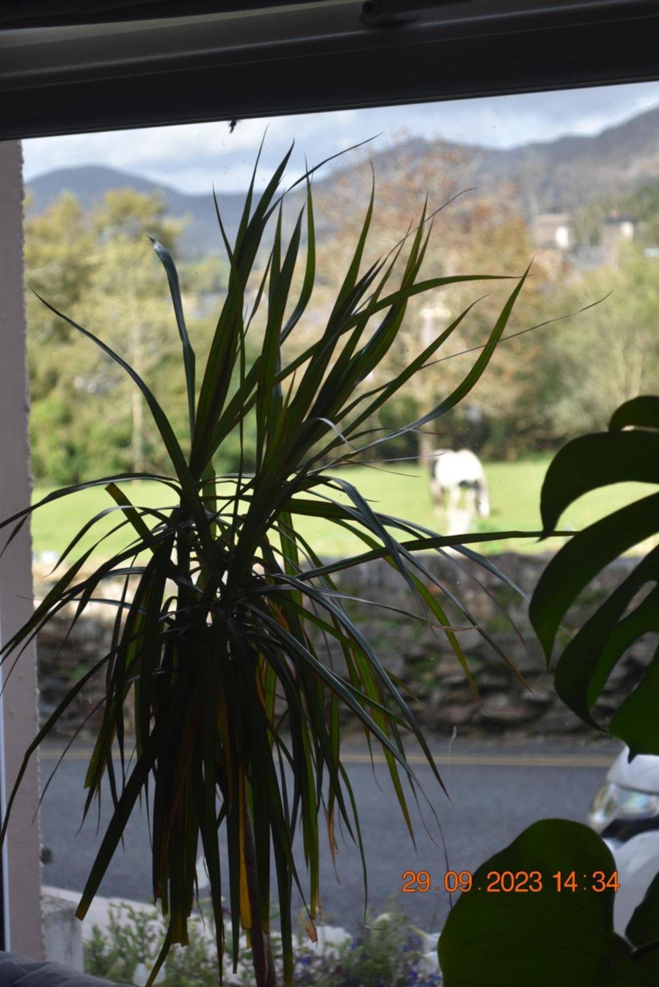 Ty Alban Villa Ffestiniog ภายนอก รูปภาพ